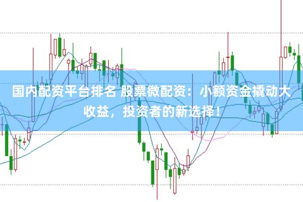 国内配资平台排名 股票微配资：小额资金撬动大收益，投资者的新选择！