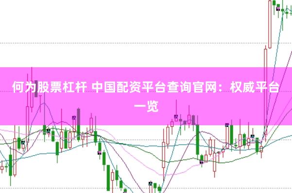 何为股票杠杆 中国配资平台查询官网：权威平台一览