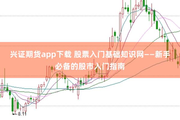 兴证期货app下载 股票入门基础知识网——新手必备的股市入门指南