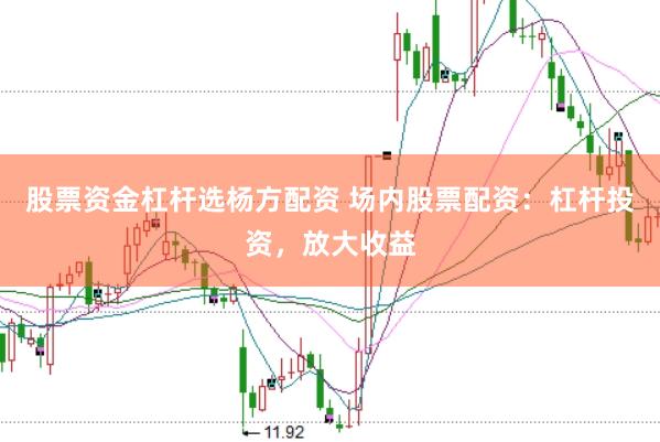 股票资金杠杆选杨方配资 场内股票配资：杠杆投资，放大收益