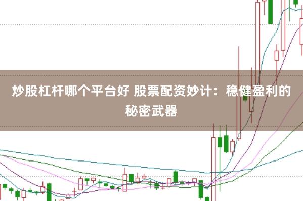 炒股杠杆哪个平台好 股票配资妙计：稳健盈利的秘密武器