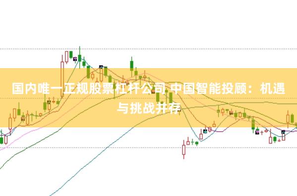 国内唯一正规股票杠杆公司 中国智能投顾：机遇与挑战并存
