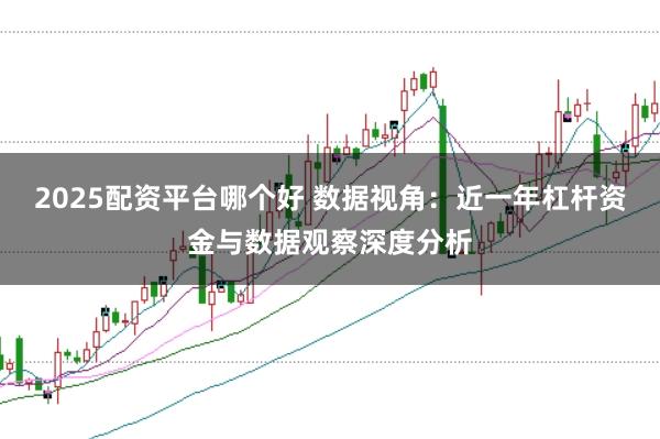 2025配资平台哪个好 数据视角：近一年杠杆资金与数据观察深度分析