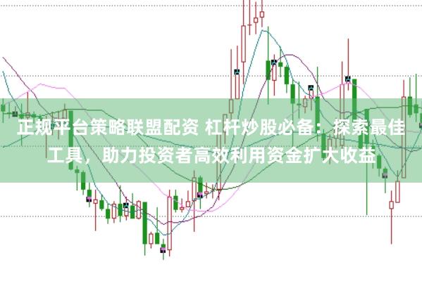 正规平台策略联盟配资 杠杆炒股必备：探索最佳工具，助力投资者高效利用资金扩大收益