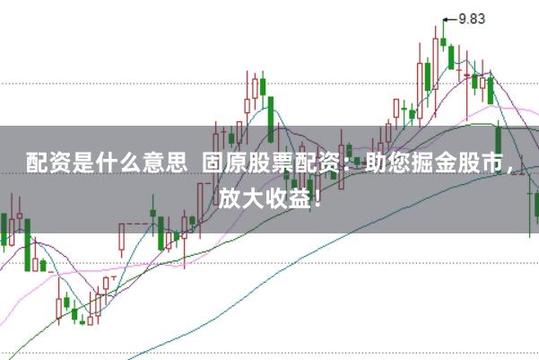 配资是什么意思  固原股票配资：助您掘金股市，放大收益！