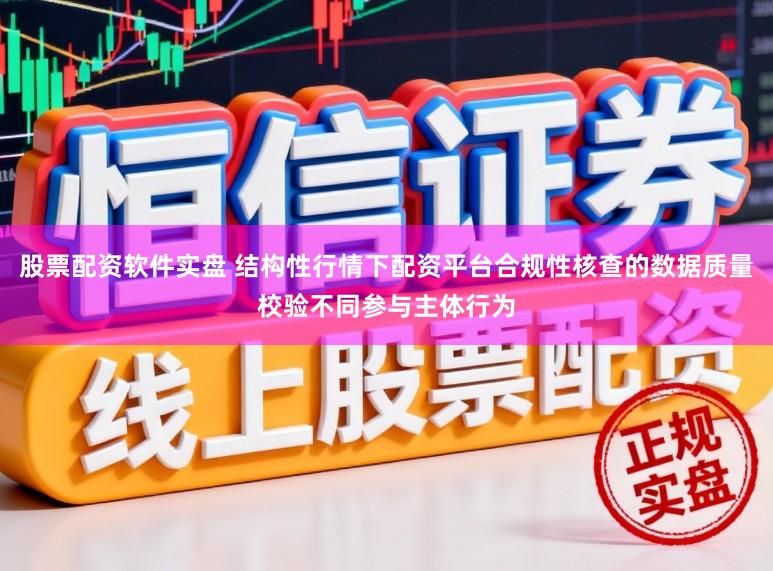 股票配资软件实盘 结构性行情下配资平台合规性核查的数据质量校验不同参与主体行为